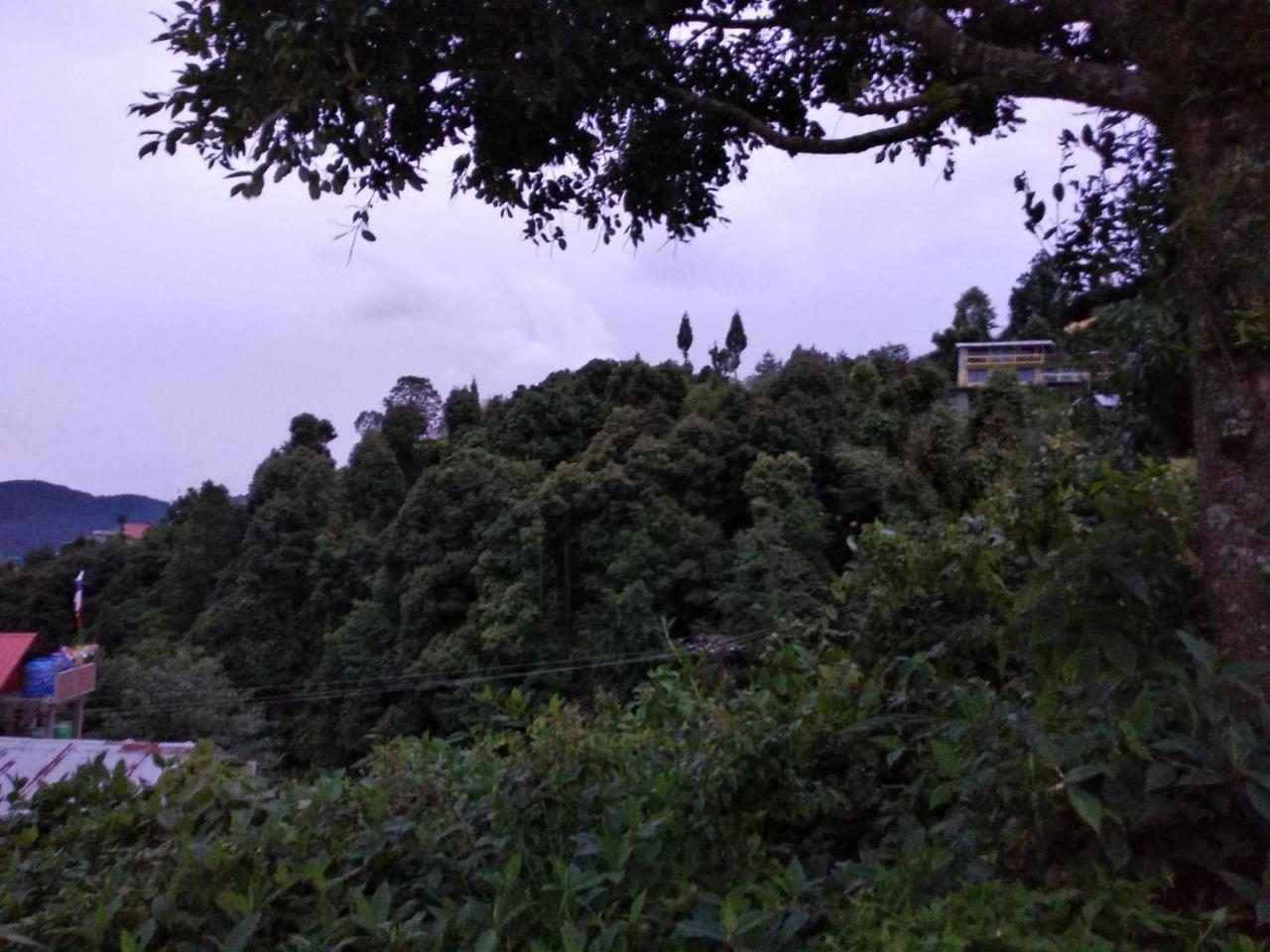 Rishop Tibet Homestay المظهر الخارجي الصورة